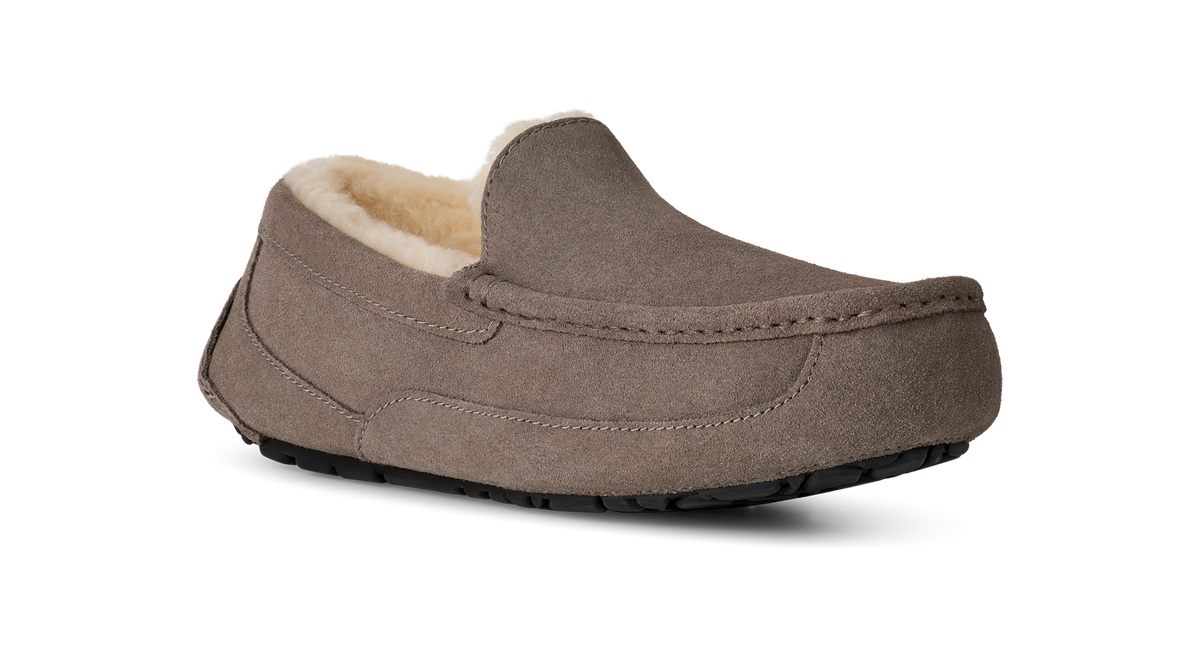 UGG Ascot Slipper Grey