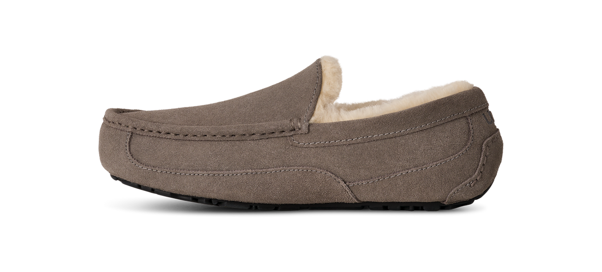 UGG Ascot Slipper Grey