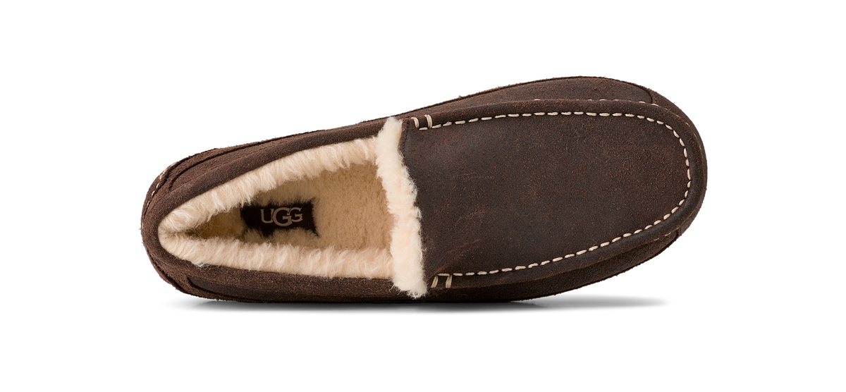 UGG Ascot Leather Distressed Slipper Dusted Cocoa