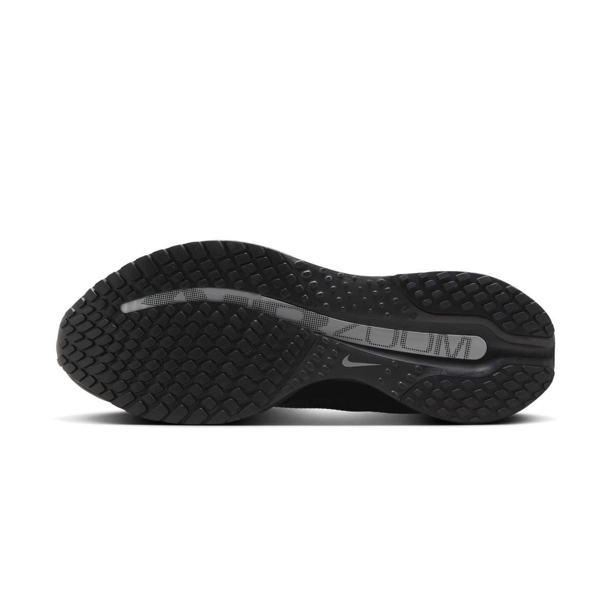 Nike Air Zoom Pegasus Premium Black Metallic Silver | HQ2592-005