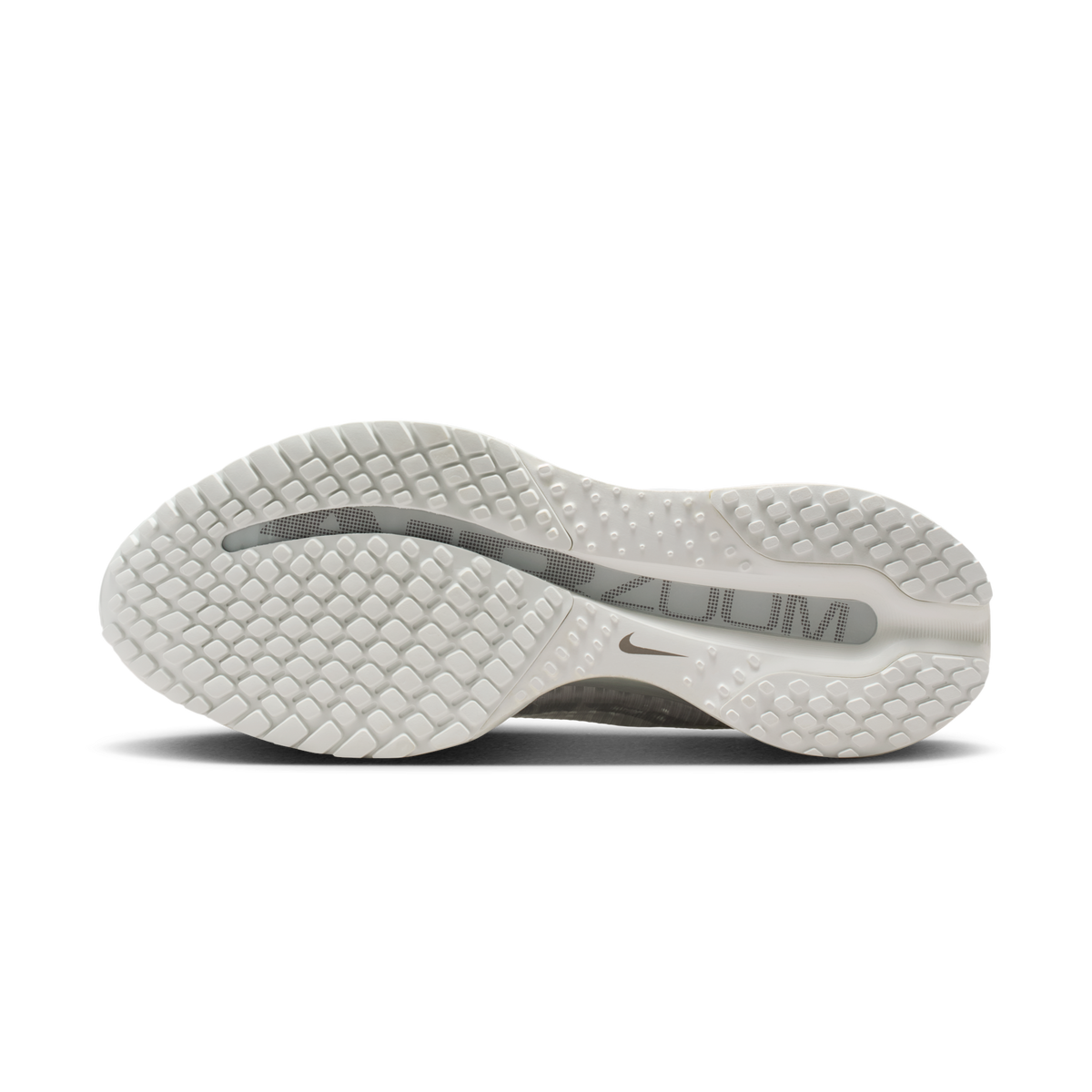 Nike Air Zoom Pegasus Premium Summit White Iridescent (Women's) | IO9918-100