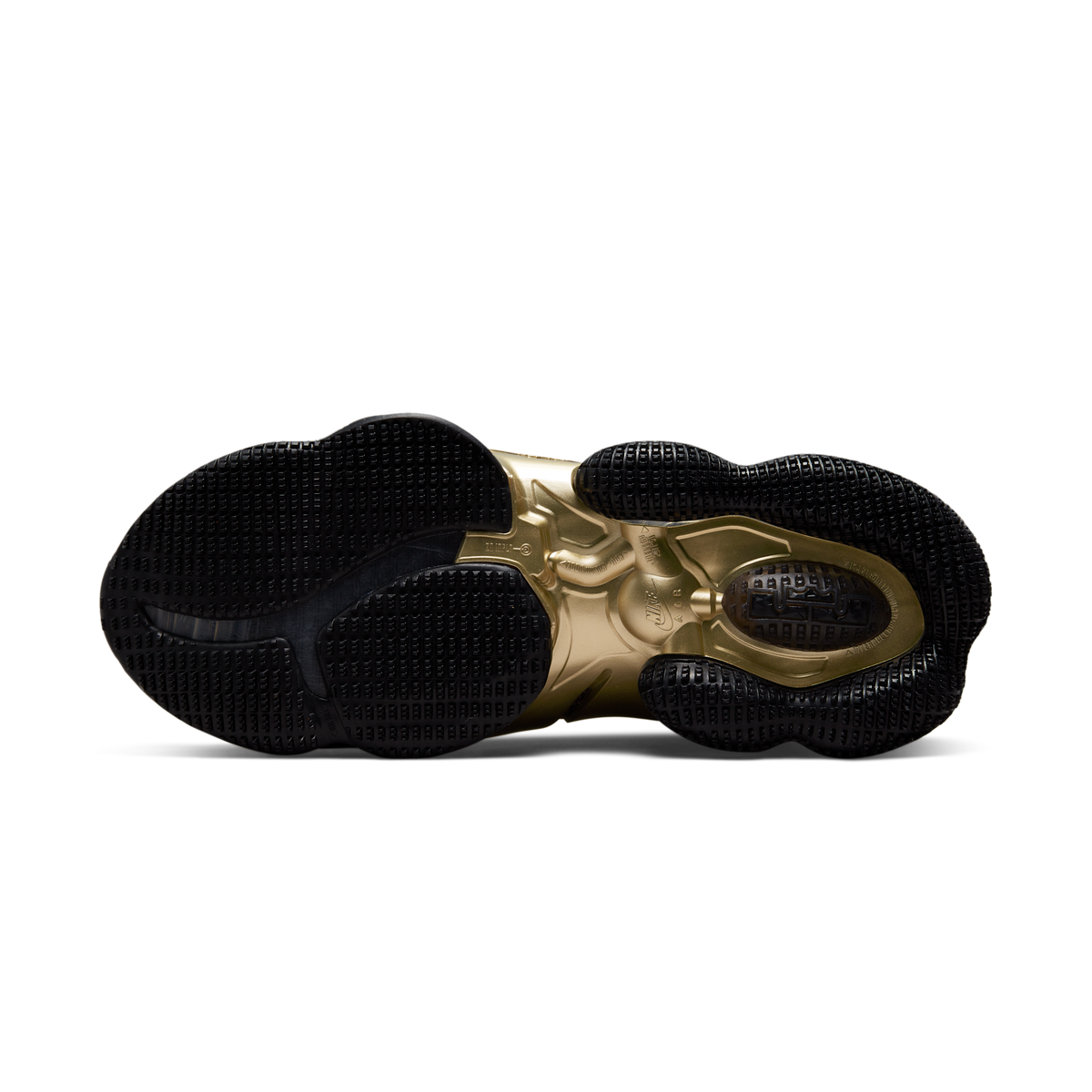 Nike LeBron 19 Doernbecher Sam David