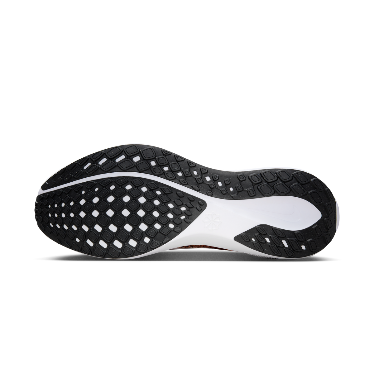 Nike Air Zoom Pegasus 41 Cincinnati Bengals (2025) | IB3189-001