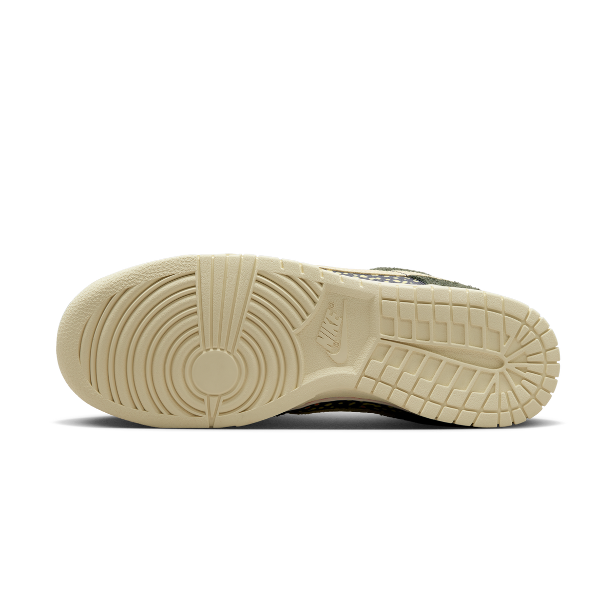 Nike Dunk Low SE Gone Fishing Rainbow Trout | FN7523-300
