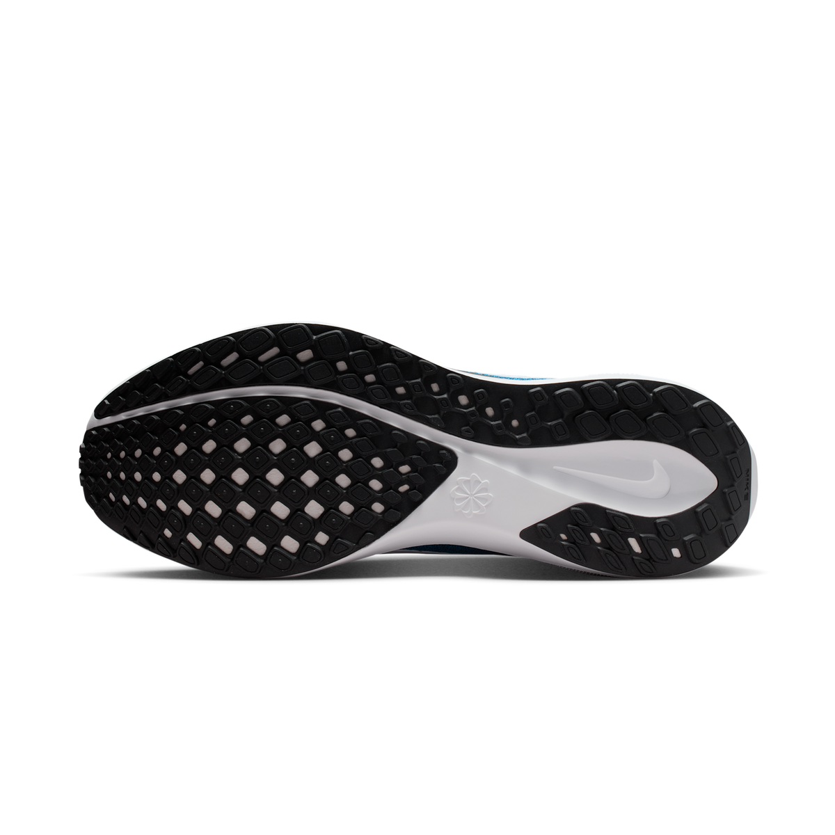 Nike Air Zoom Pegasus 41 Carolina Panthers (2025) | IB3211-400