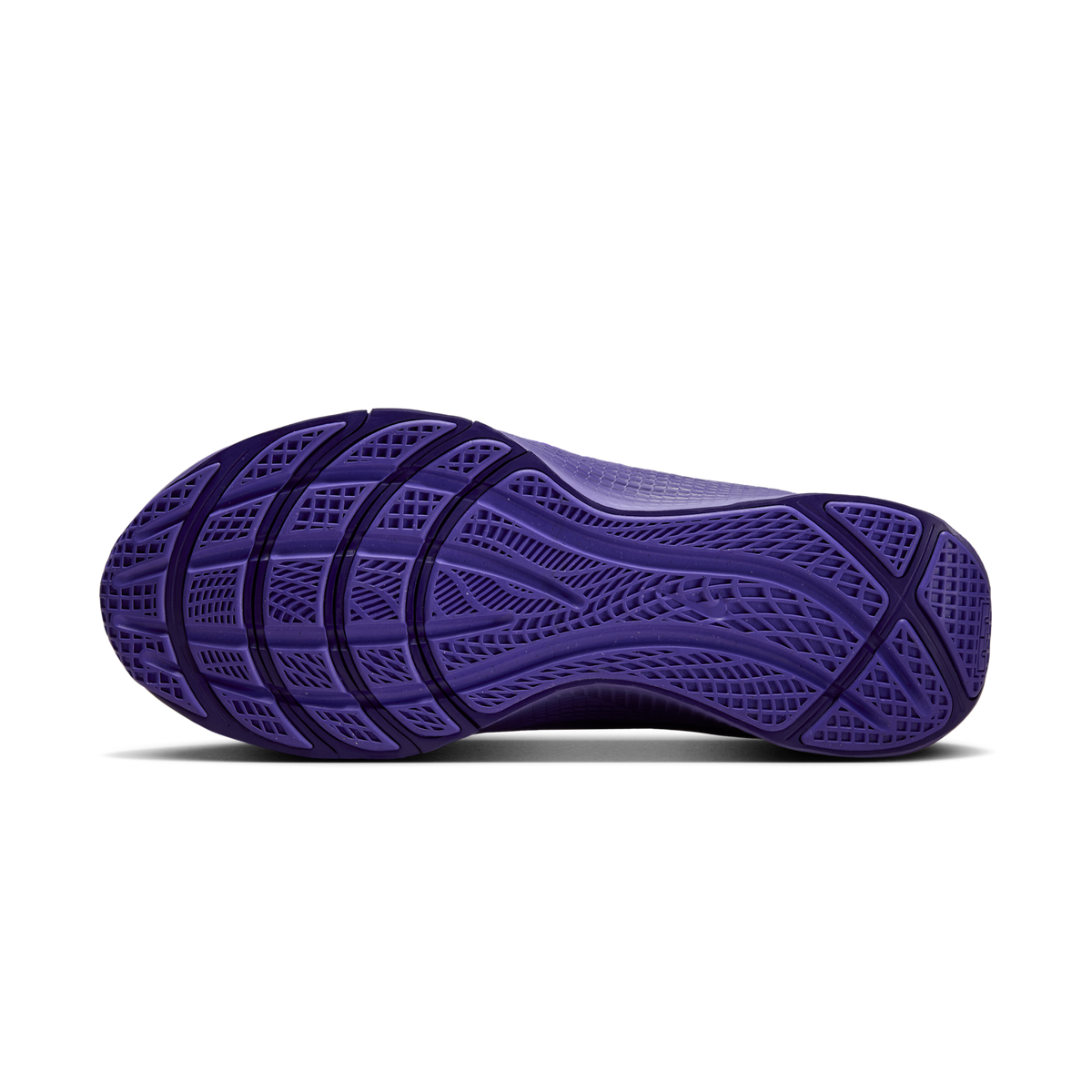 Nike LeBron TR 1 Purple Rain | FJ6151-500