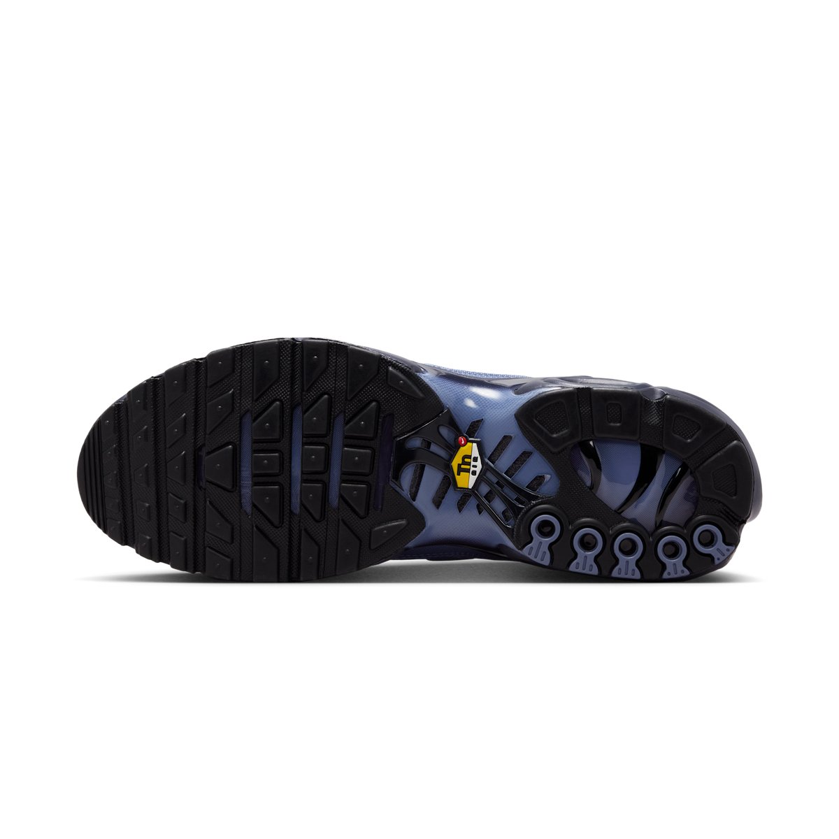 Nike Air Max Plus World Indigo | DM0032-404