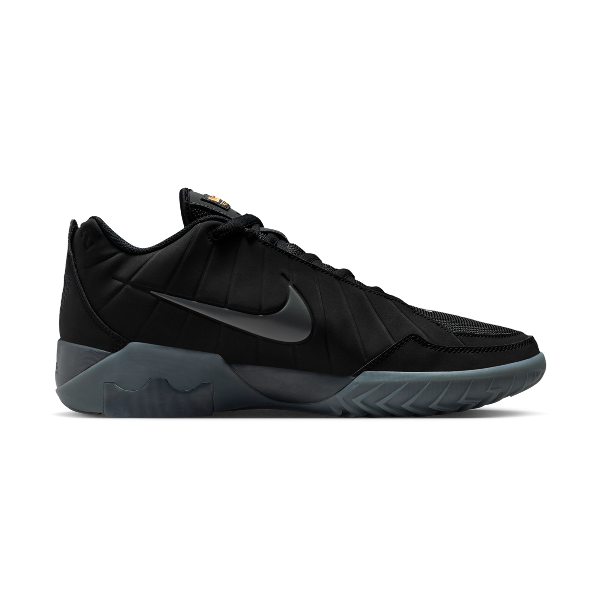 Nike LeBron Witness 9 Black Dark Smoke Grey (Translucent Outsole)