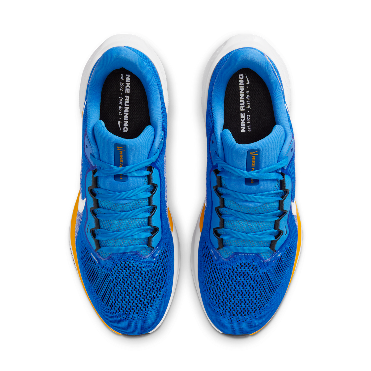 Nike Air Zoom Pegasus 41 Los Angeles Chargers (2025) | IB3208-400