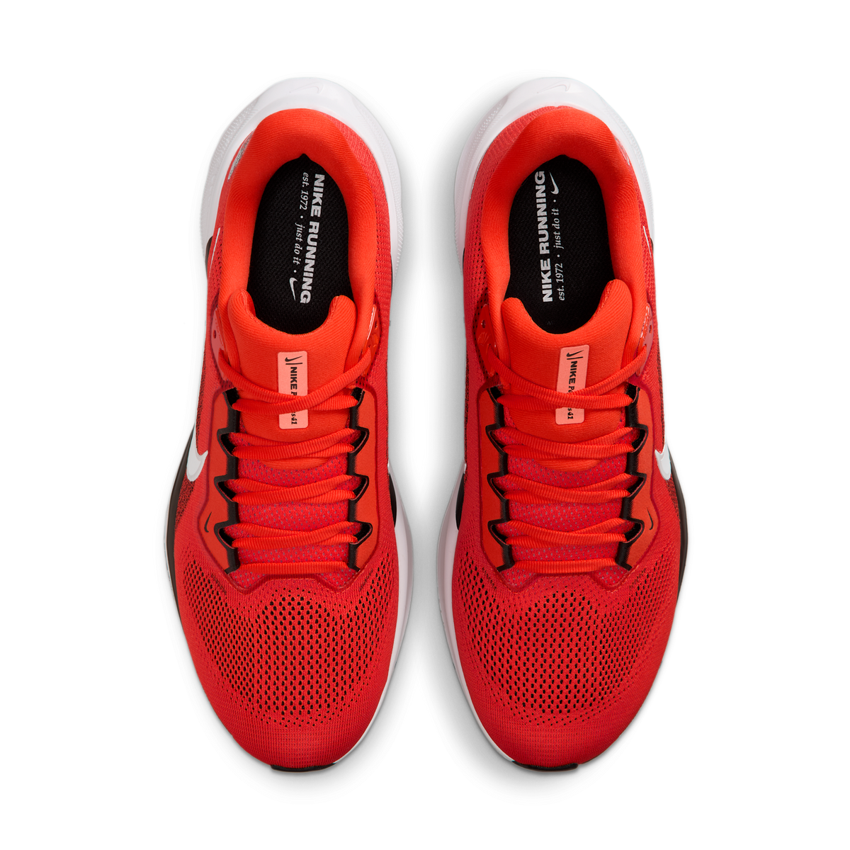 Nike Air Zoom Pegasus 41 Cleveland Browns (2025) | IB3202-800