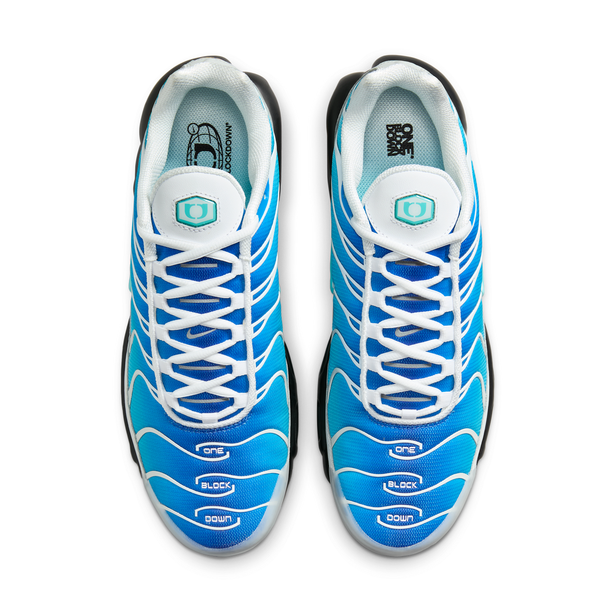 Nike Air Max Plus One Block Down Light Photo Blue | FZ3308-400
