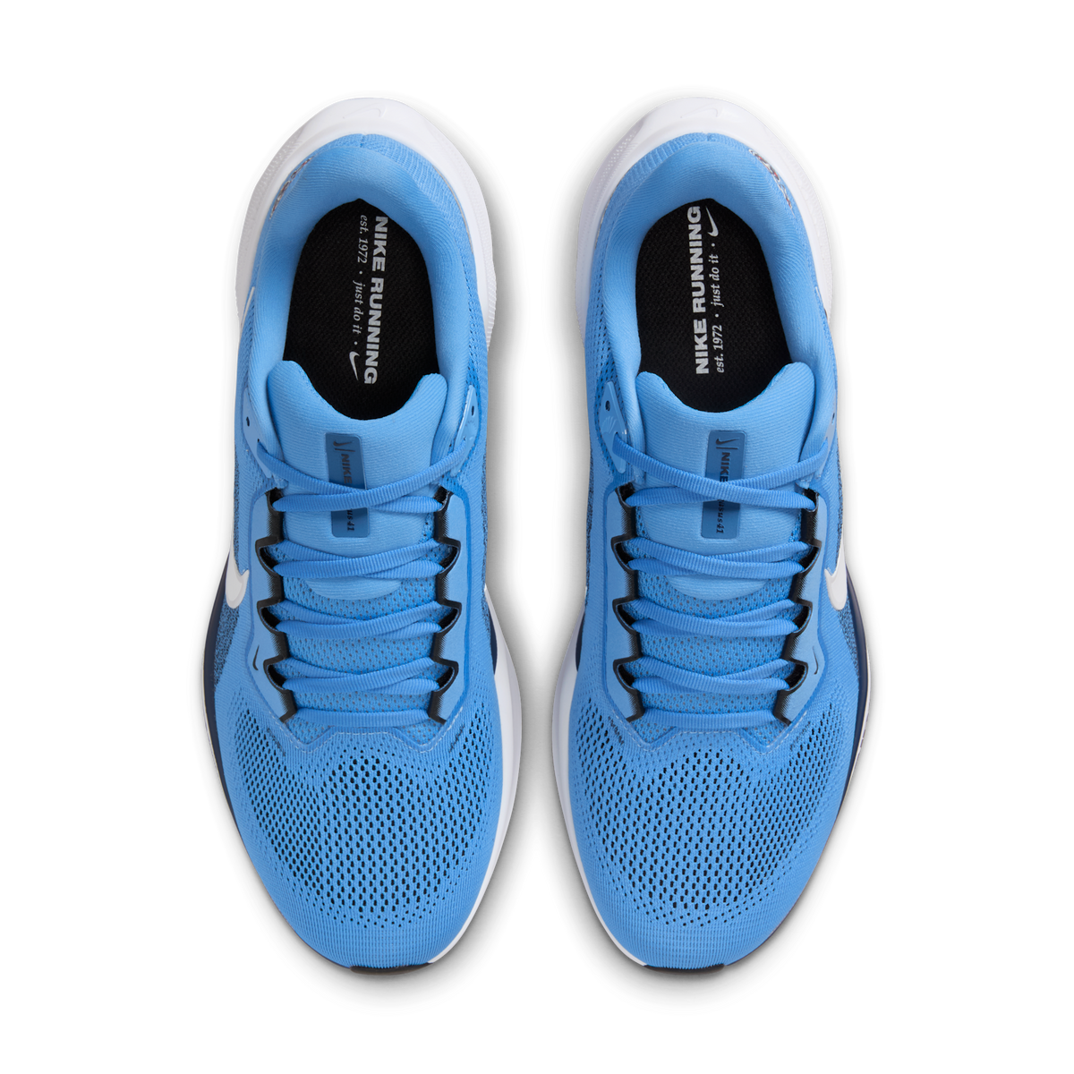 Nike Air Zoom Pegasus 41 Tennessee Titans (2025) | IB3204-400