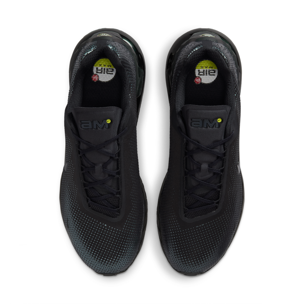 Nike Air Max Phoenix Black Anthracite | FZ5307-004