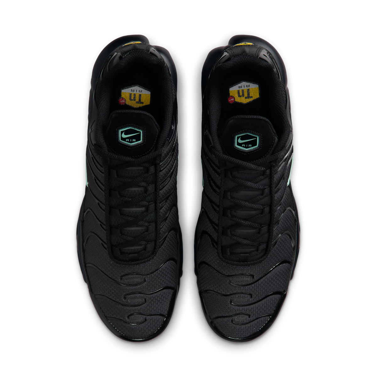 Nike Air Max Plus Black Mint Green | DM0032-029