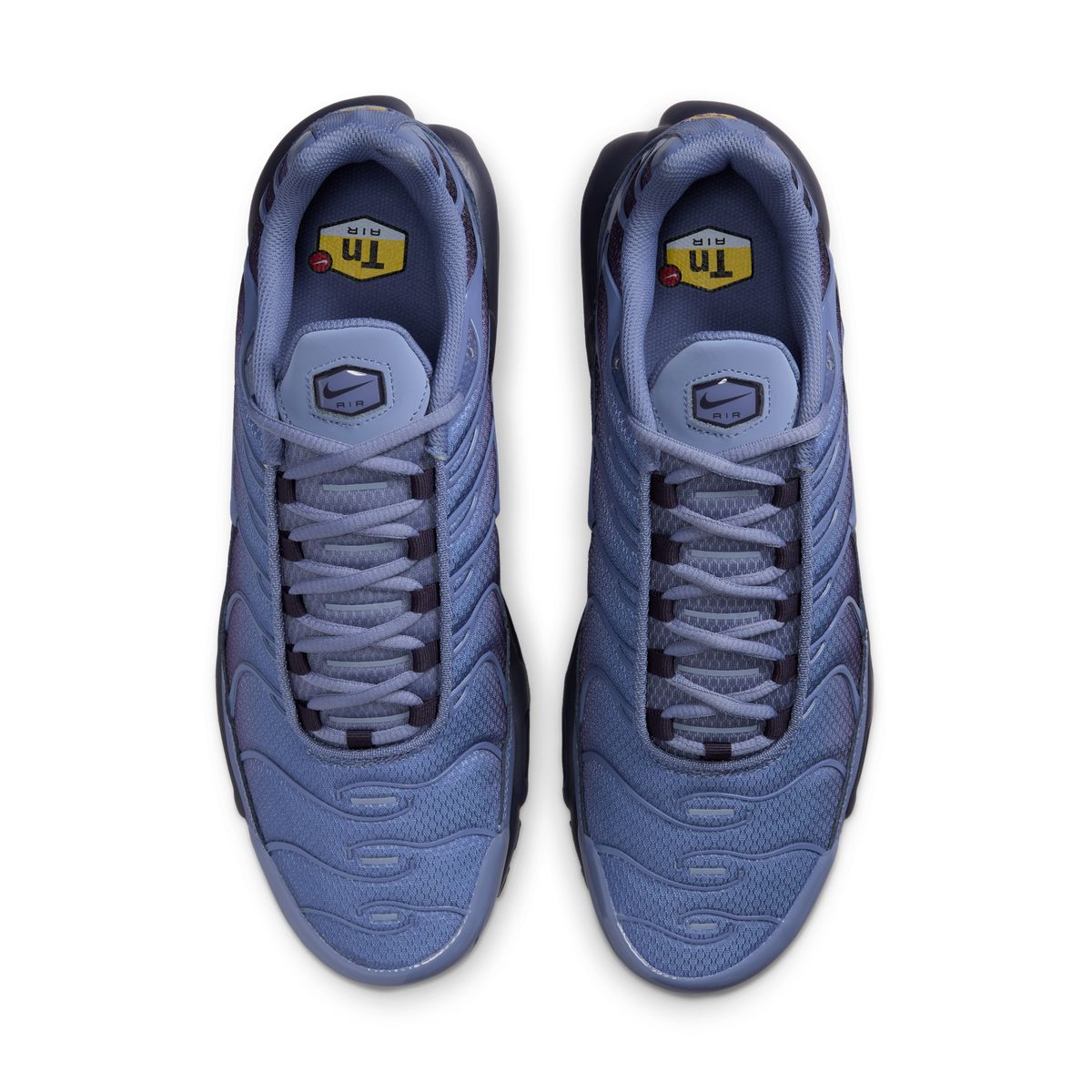Nike Air Max Plus World Indigo | DM0032-404
