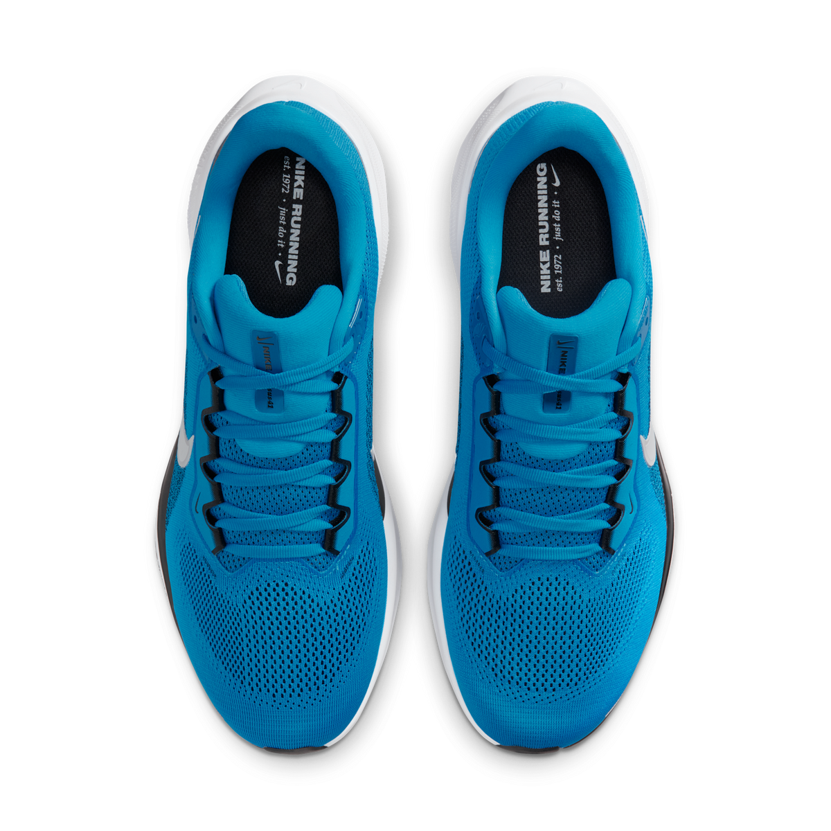 Nike Air Zoom Pegasus 41 Carolina Panthers (2025) | IB3211-400