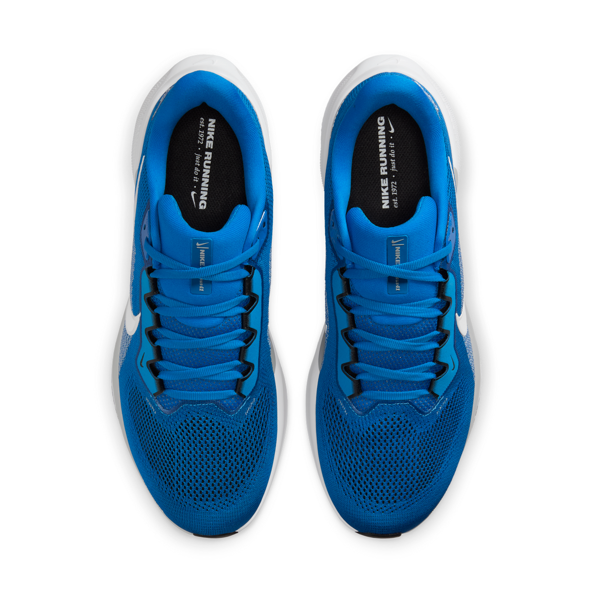 Nike Air Zoom Pegasus 41 Detroit Lions (2025) | IB3206-400