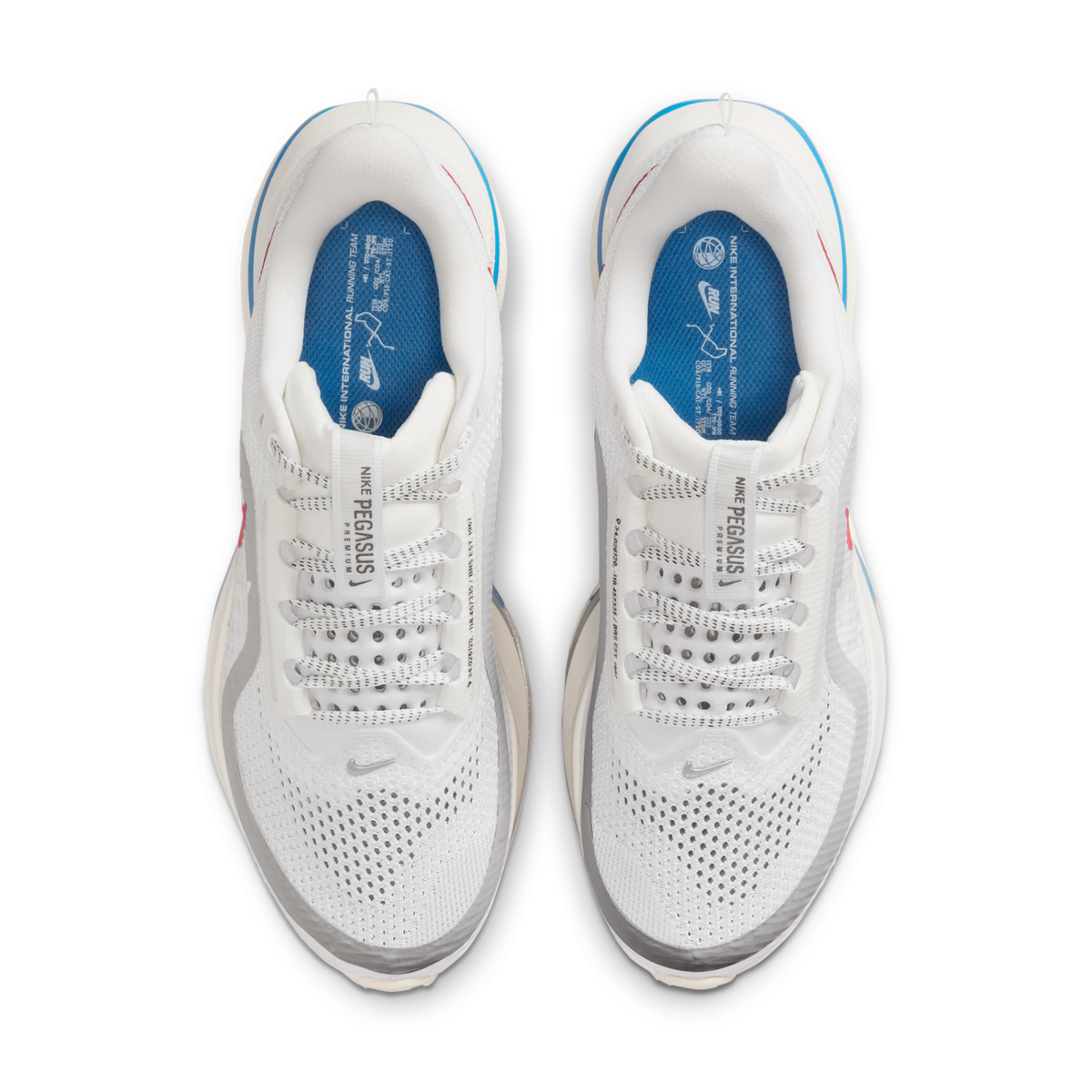Nike Air Zoom Pegasus Premium Forrest Gump (Women's) | IH7347-111