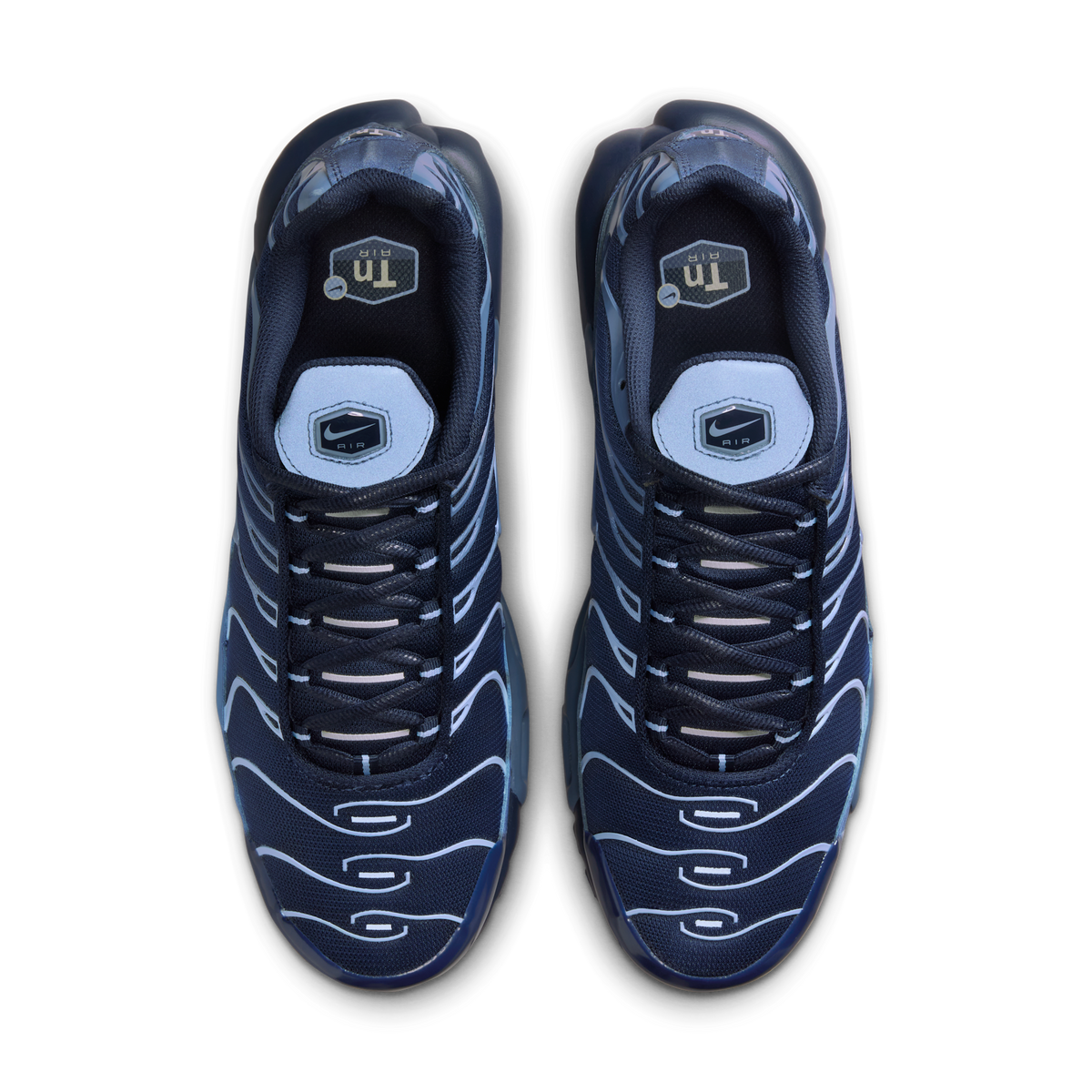 Nike Air Max Plus Obsidian Aluminum