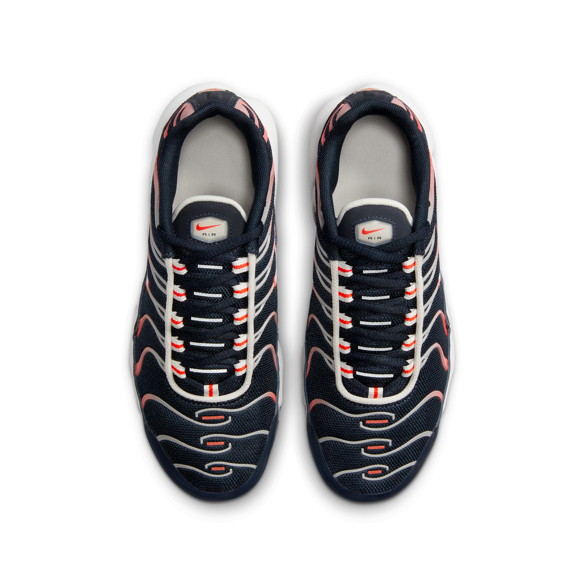 Nike Air Max Plus Dark Obsidian Bright Crimson (GS) | CD0609-408