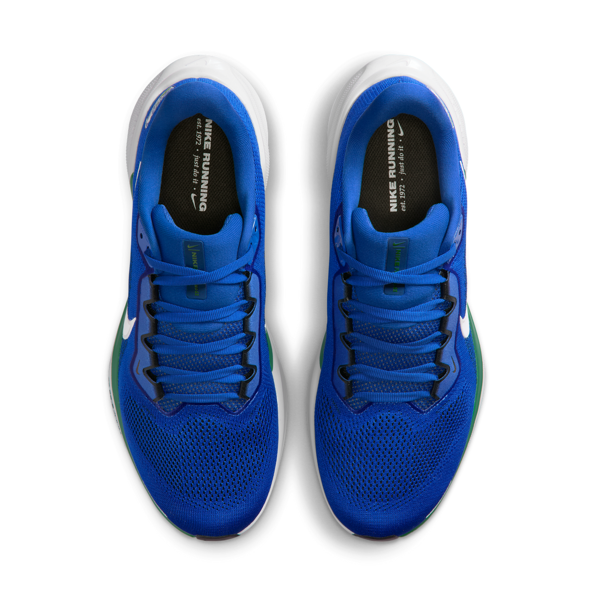 Nike Air Zoom Pegasus 41 Seattle Seahawks (2025) | IB3197-400