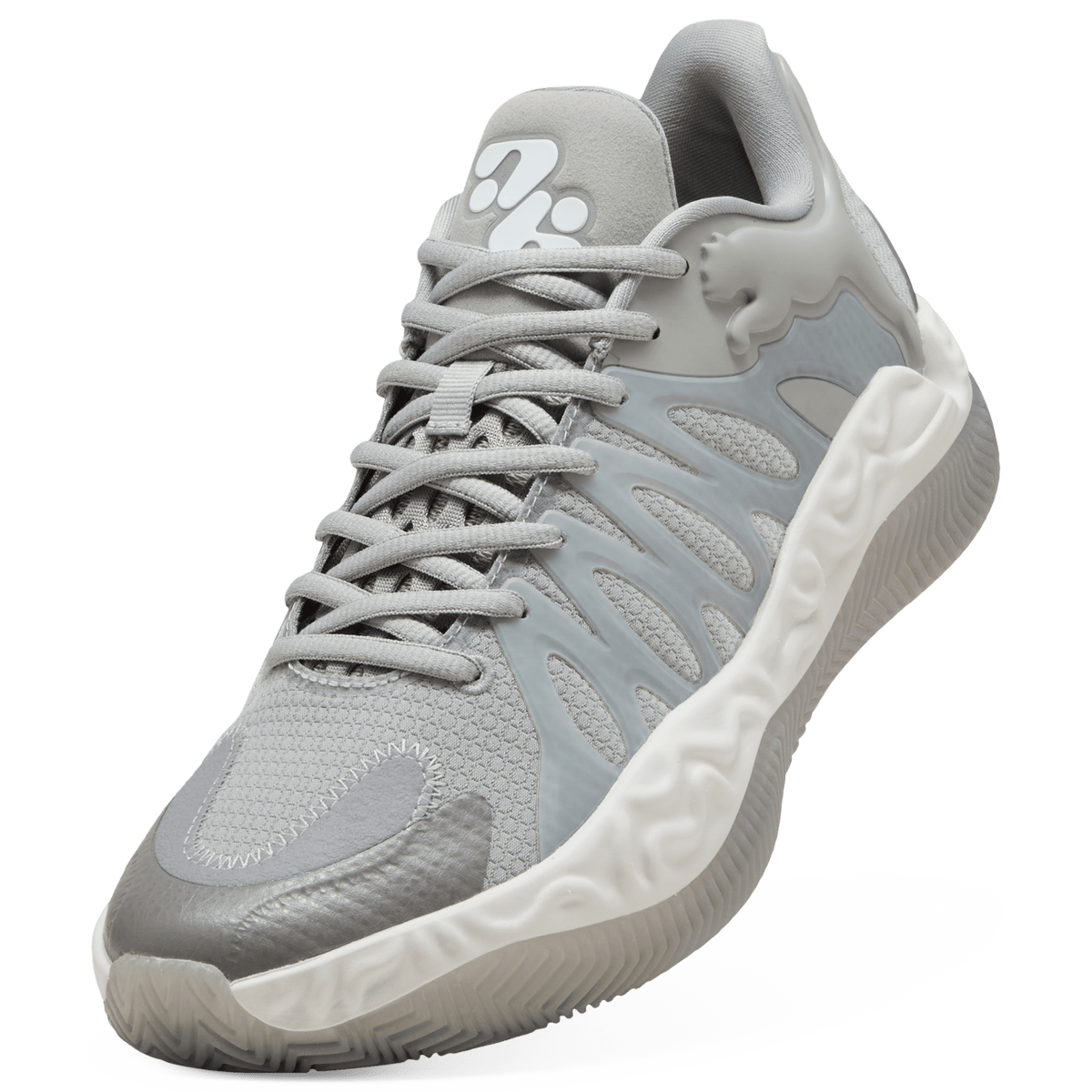 Puma Tyrese Haliburton Hali 1 Grey | 313452-01