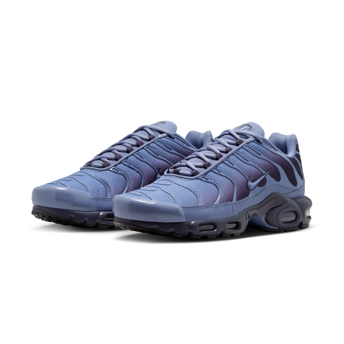 Nike Air Max Plus World Indigo | DM0032-404