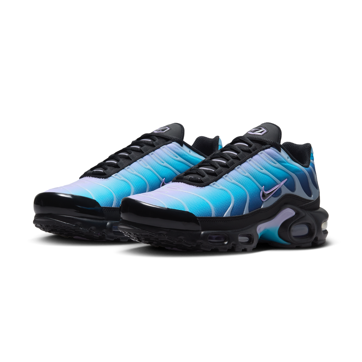 Nike Air Max Plus Black Hydrangeas (Women's) | HV2510-001