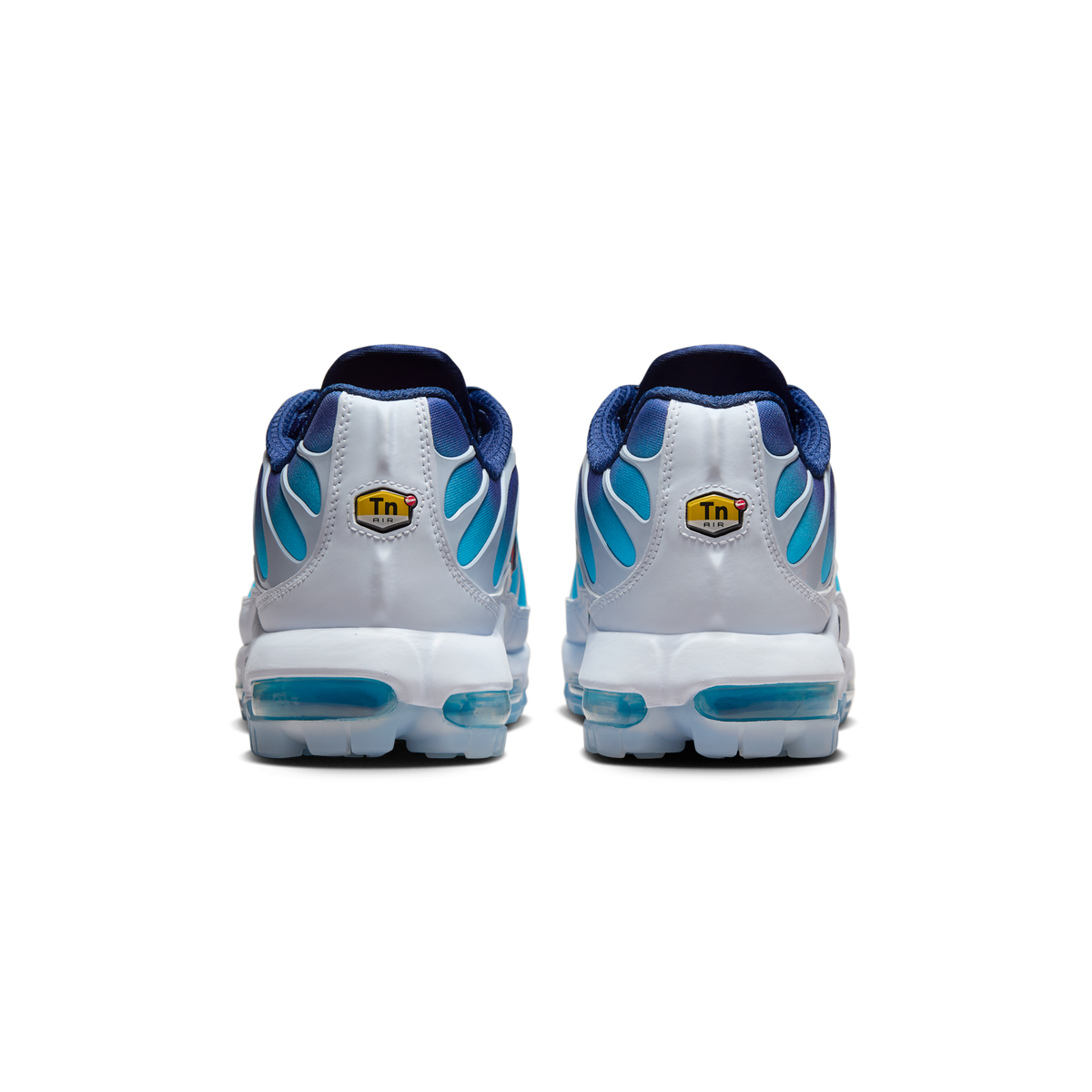 Nike Air Max Plus Golf PGA Championship | HJ4517-400