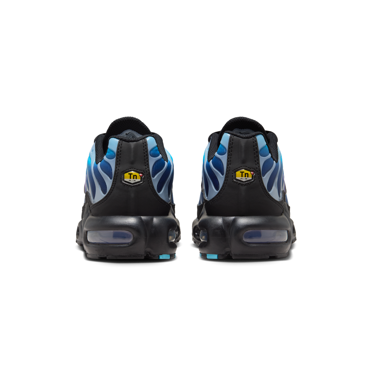 Nike Air Max Plus Black Hydrangeas (Women's) | HV2510-001