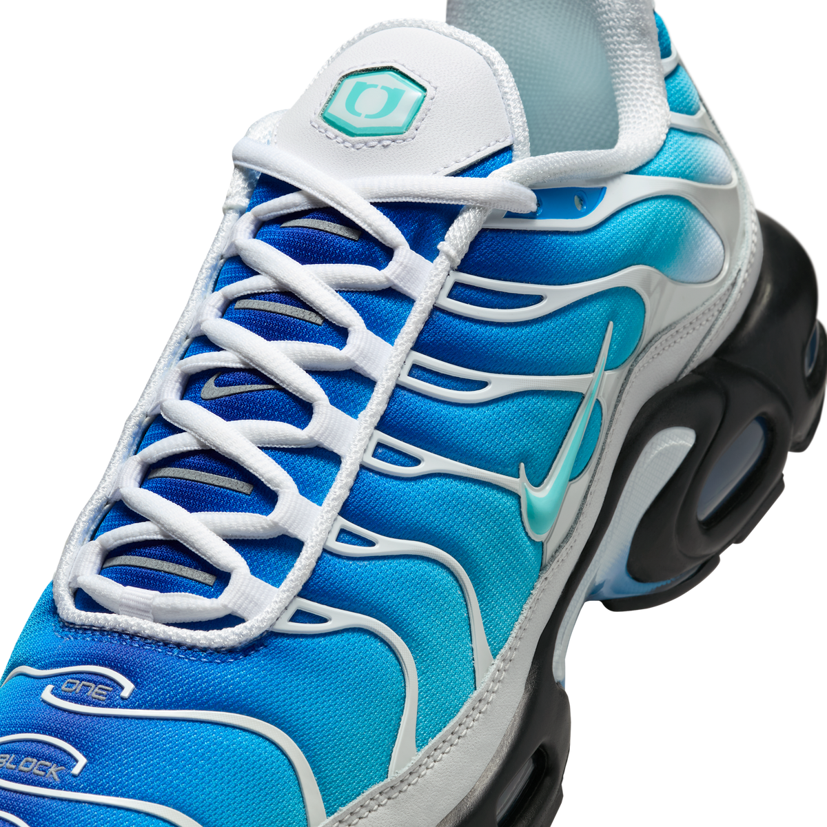 Nike Air Max Plus One Block Down Light Photo Blue | FZ3308-400