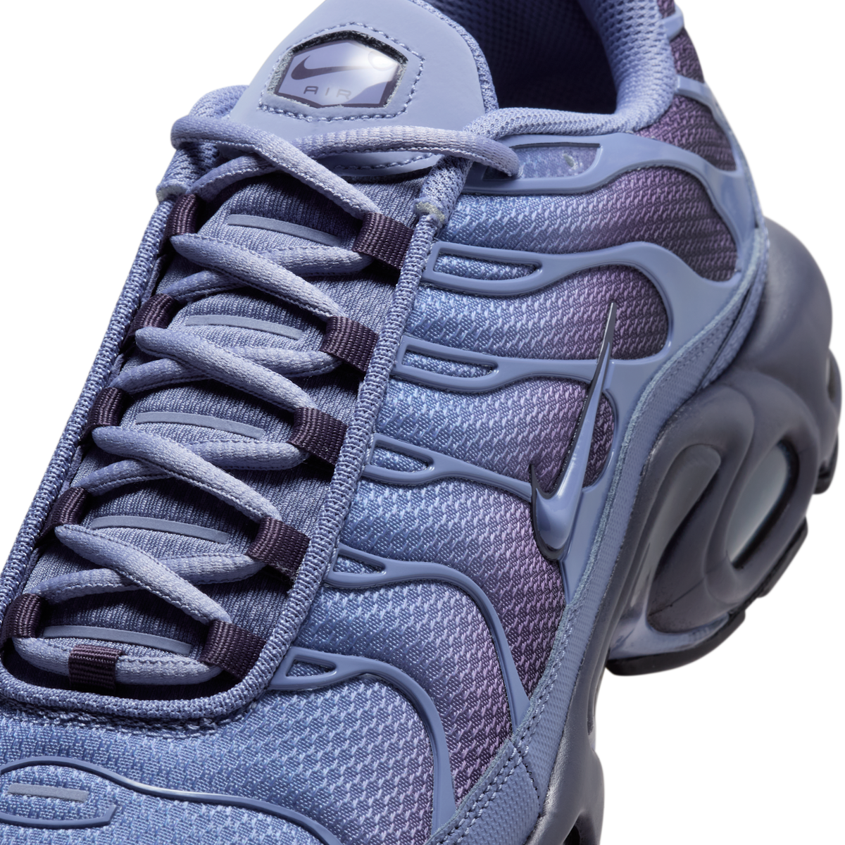 Nike Air Max Plus World Indigo | DM0032-404