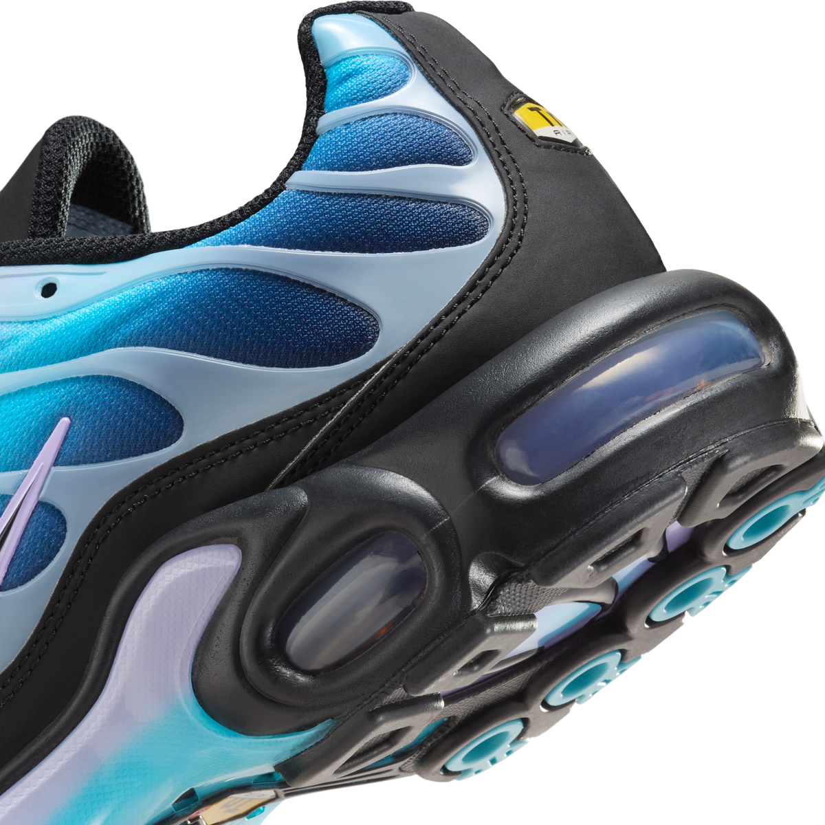 Nike Air Max Plus Black Hydrangeas (Women's) | HV2510-001