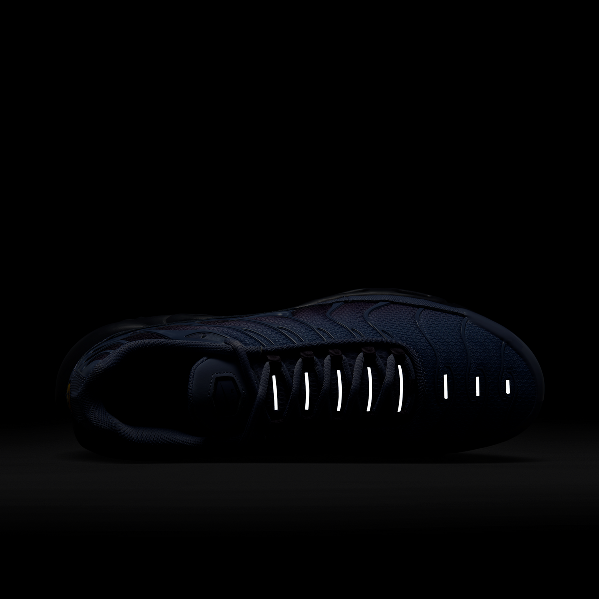 Nike Air Max Plus World Indigo | DM0032-404