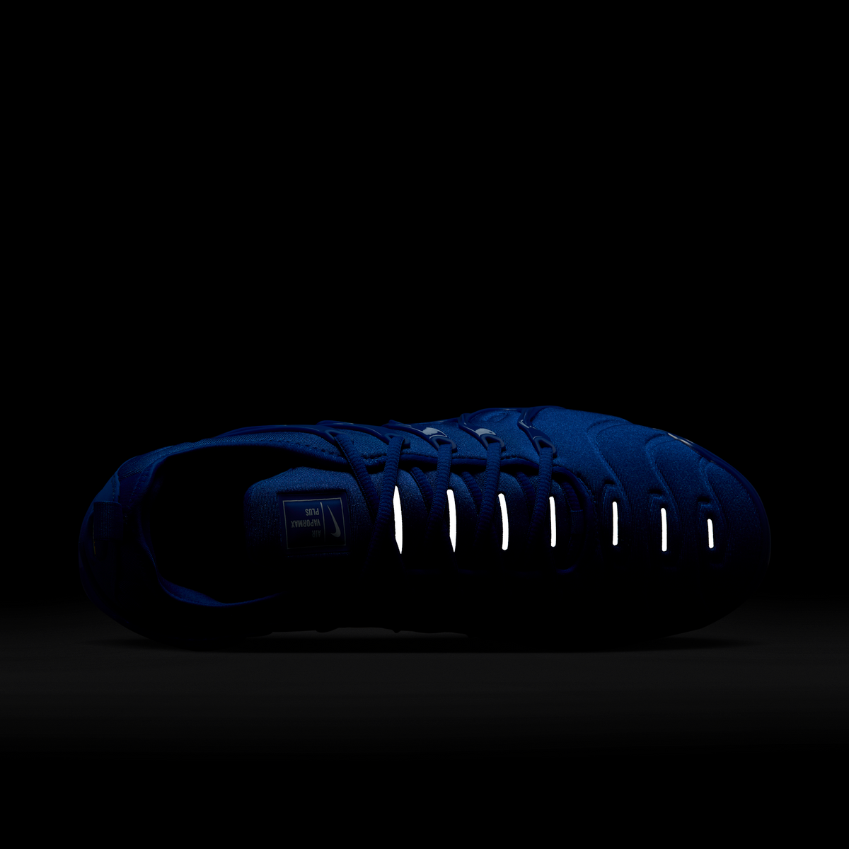 Nike Air VaporMax Plus Game Royal Metallic Silver | HJ9148-480