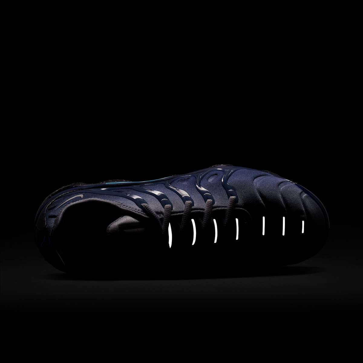 Nike Air VaporMax Plus Blizzard | CK1411-400