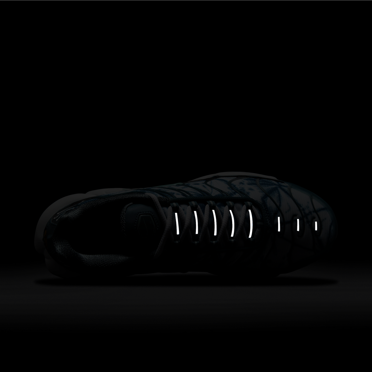 Nike Air Max Plus Origins Waterway | FV0394-300
