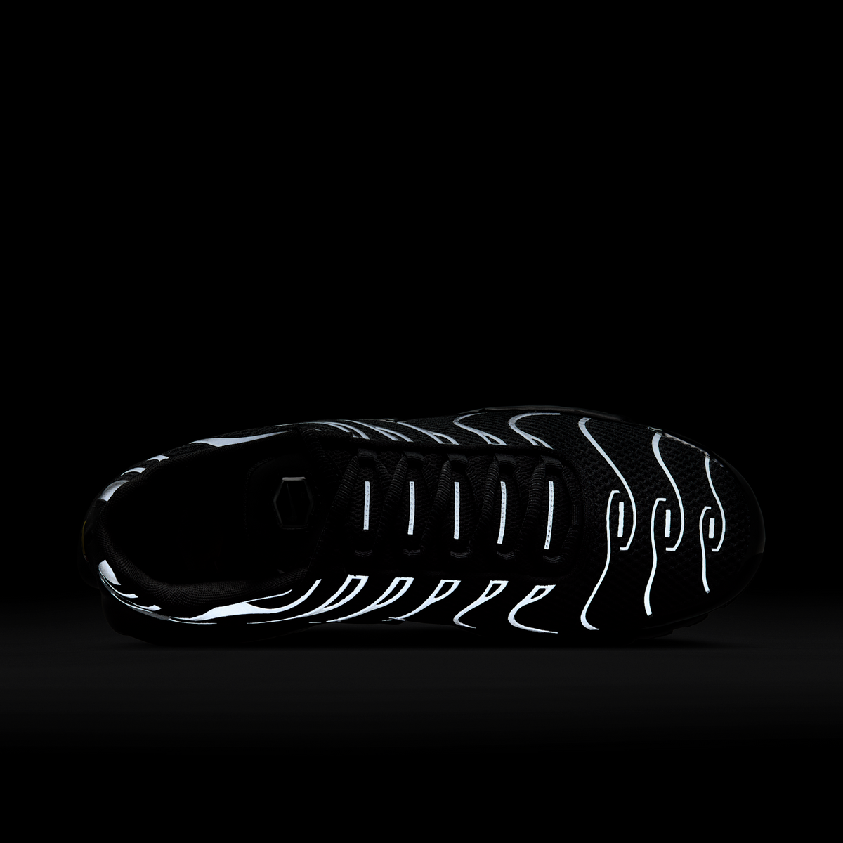 Nike Air Max Plus Premium Black Reflective Silver | HQ3029-001