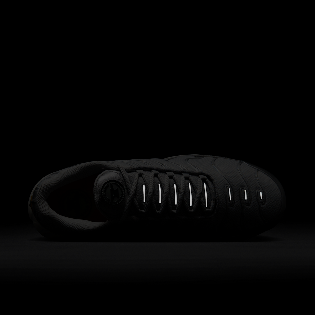 Nike Air Max Plus Golf US Open | HJ4518-001