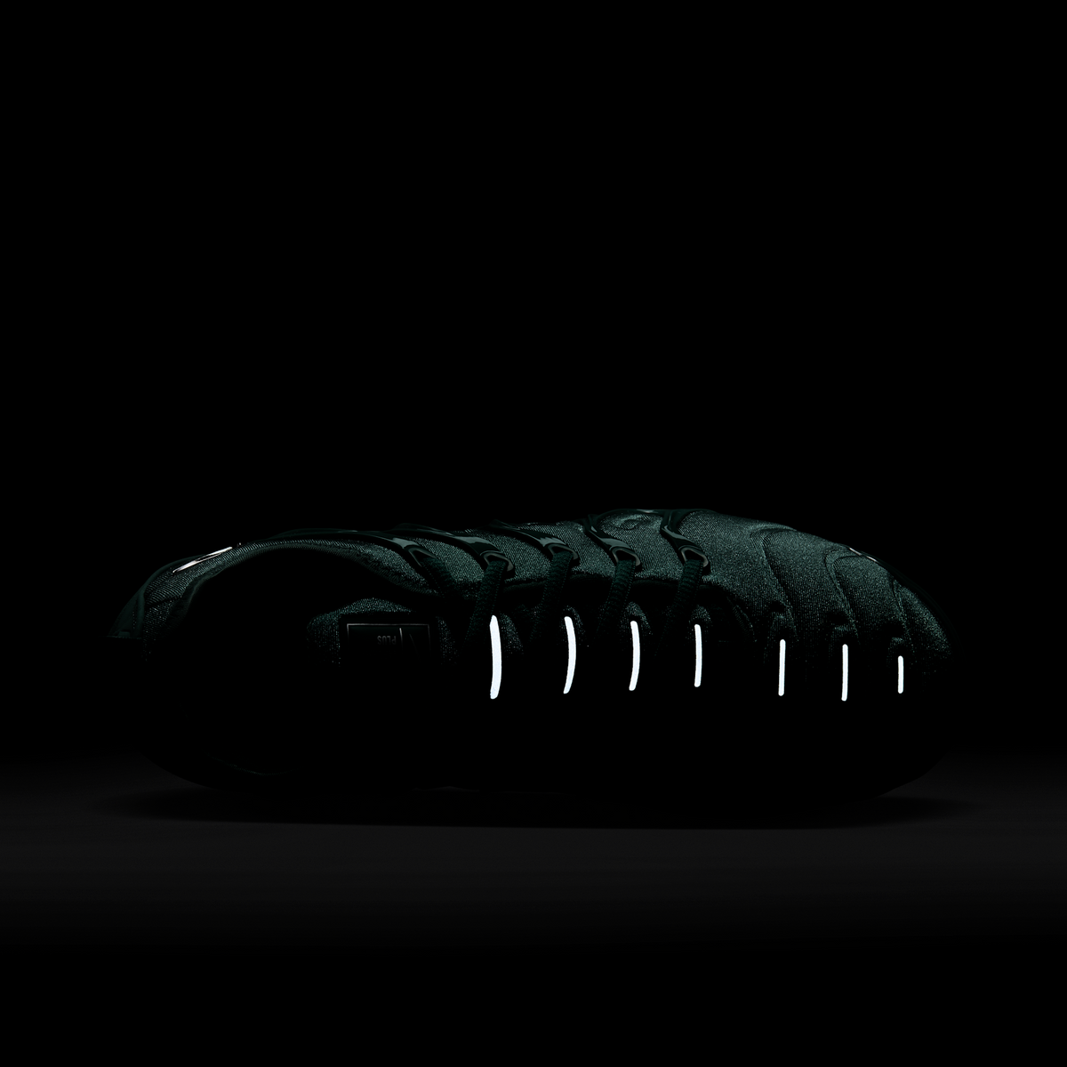 Nike Air Max VaporMax Plus Bicoastal (Women's) | HF5048-361