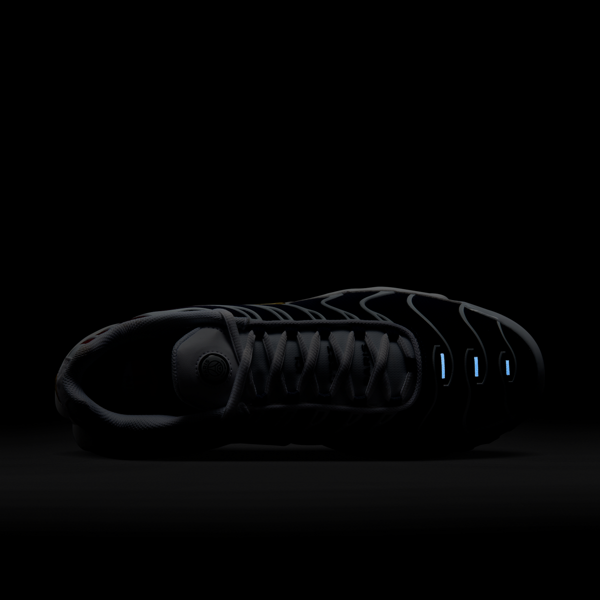 Nike Air Max Plus PSG | FZ4776-100