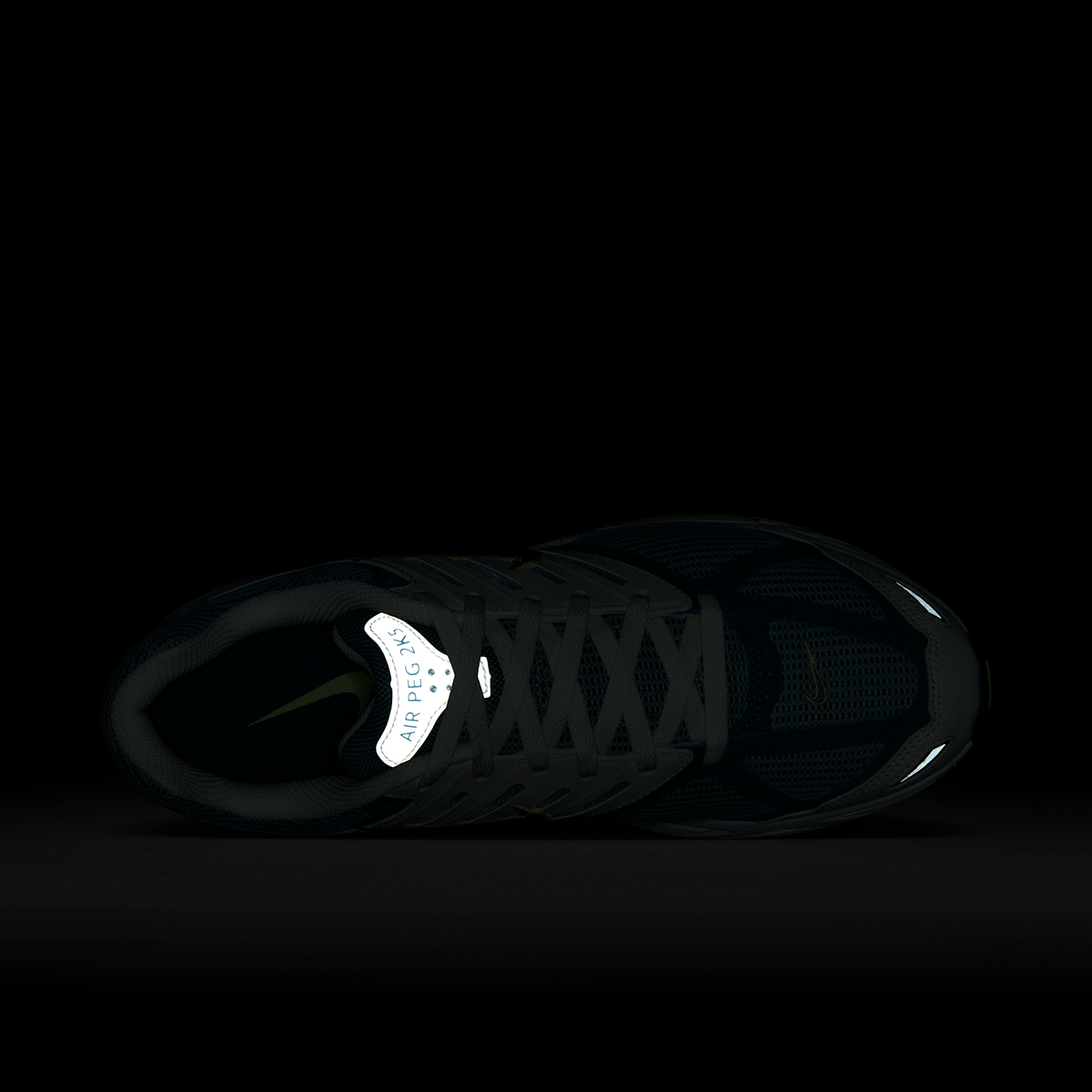Nike Air Peg 2K5 Bicoastal | FZ2590-100