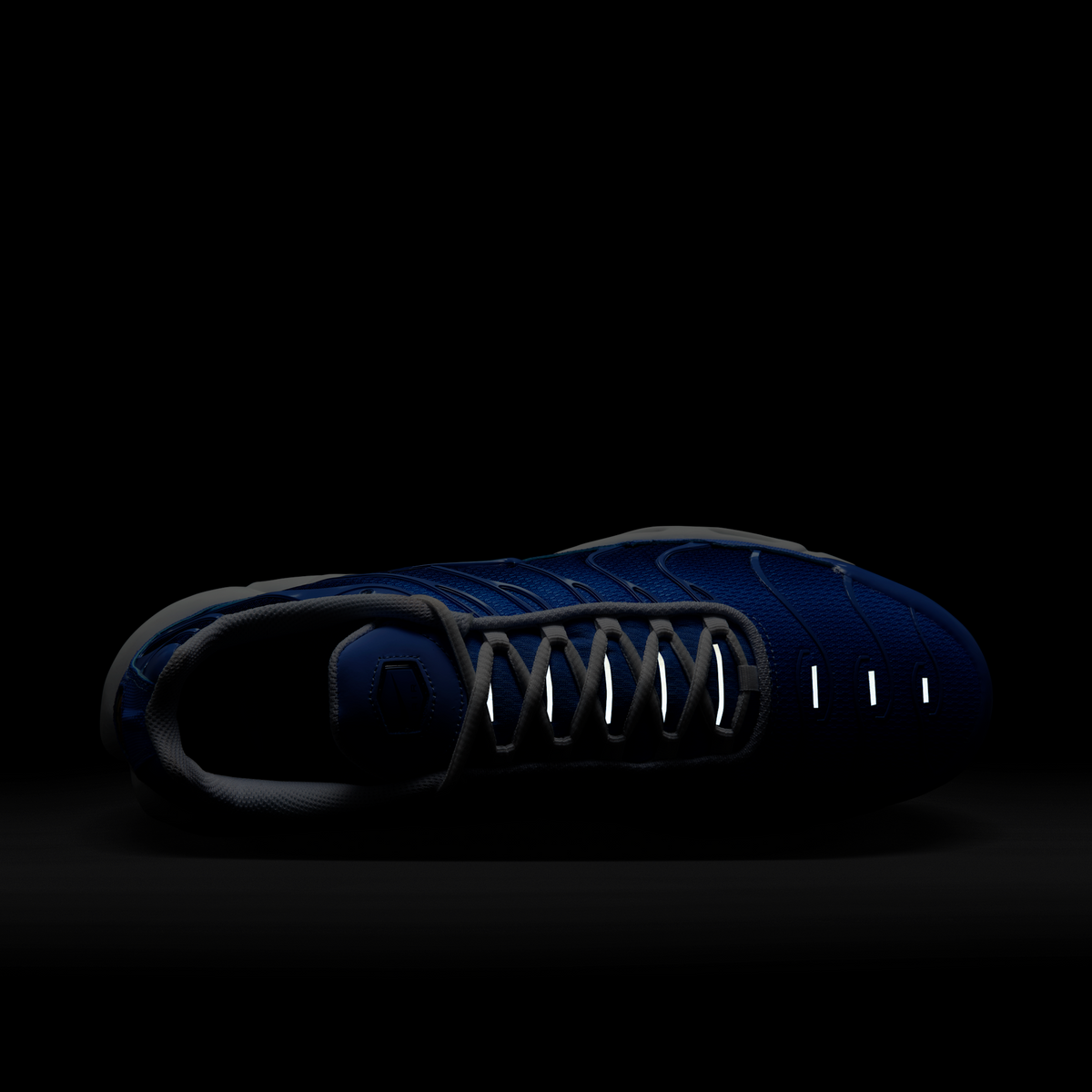 Nike Air Max Plus Royal Pulse | DM0032-403