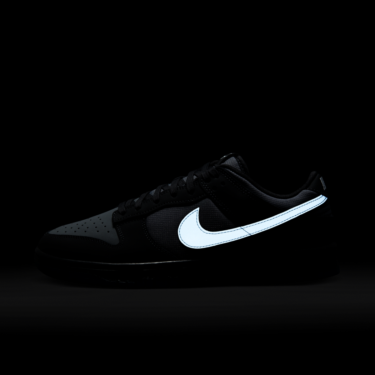 Nike Dunk Low Anthracite | FV0384-001