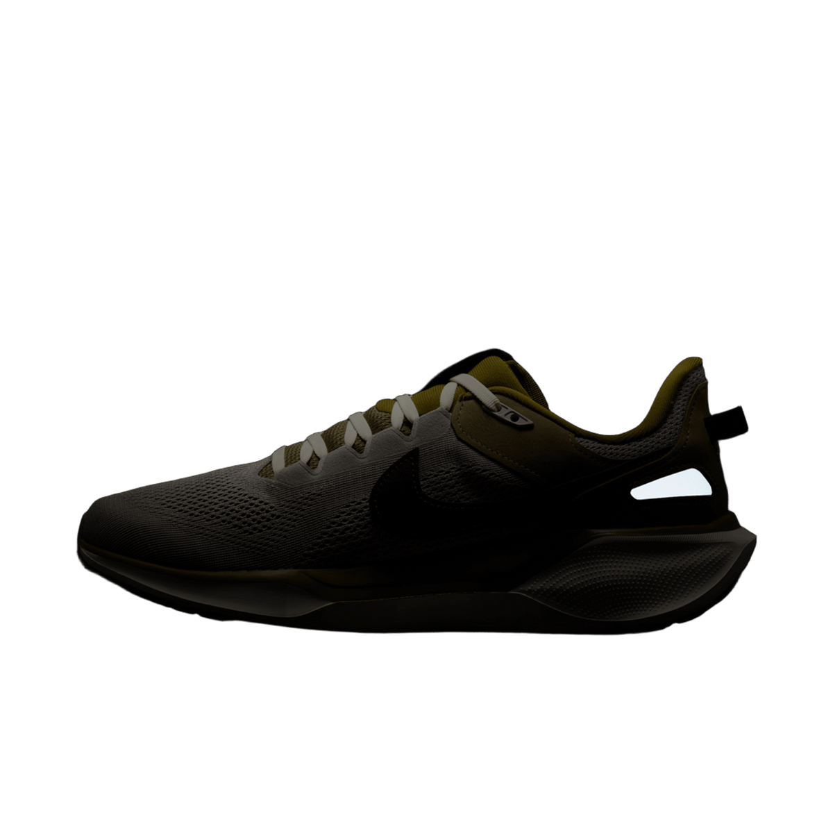 Nike Air Zoom Pegasus 41 SP College Grey Anthracite