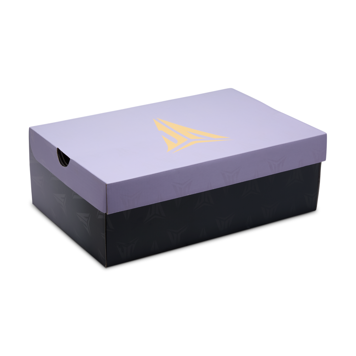 Nike Ja 2 Induction