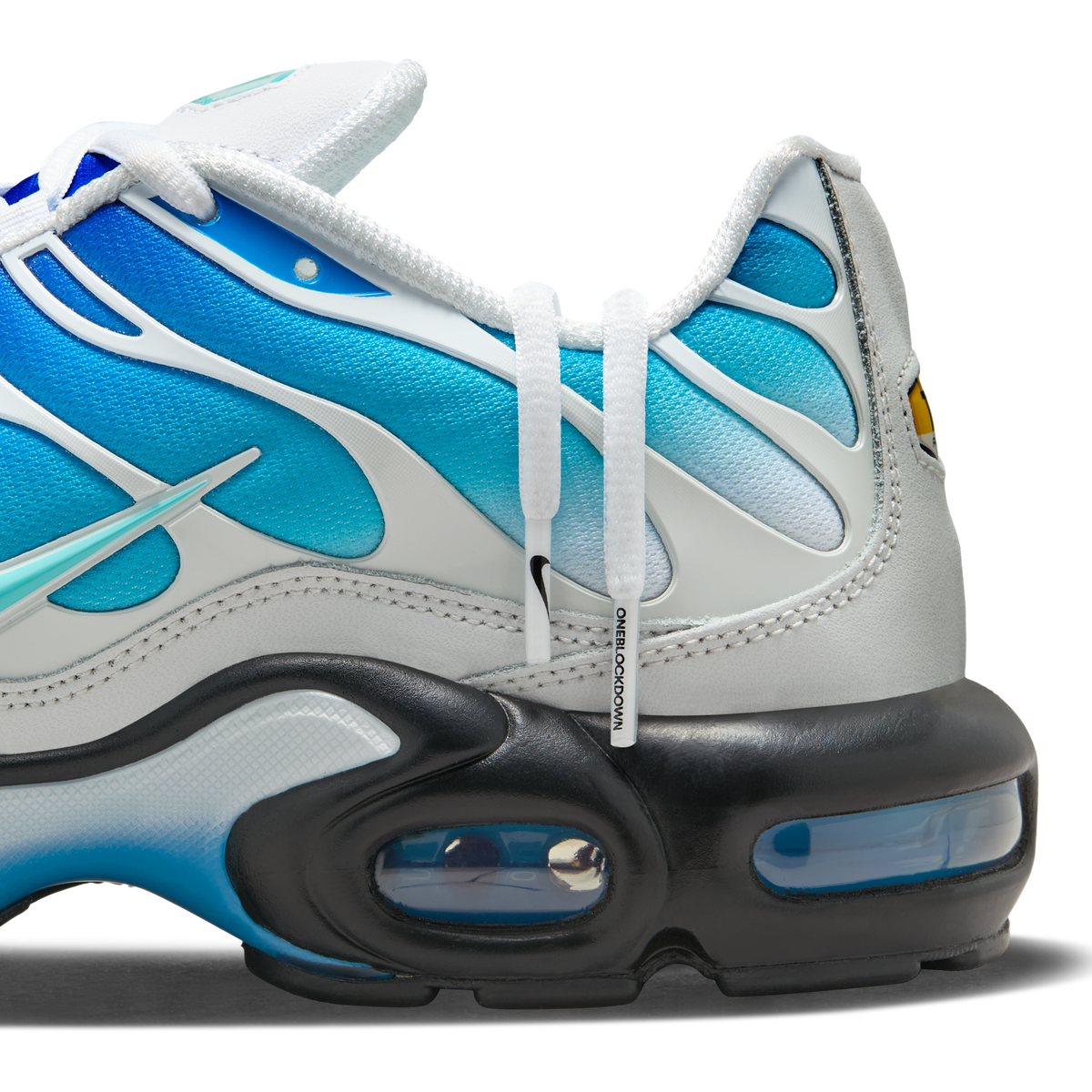 Nike Air Max Plus One Block Down Light Photo Blue | FZ3308-400