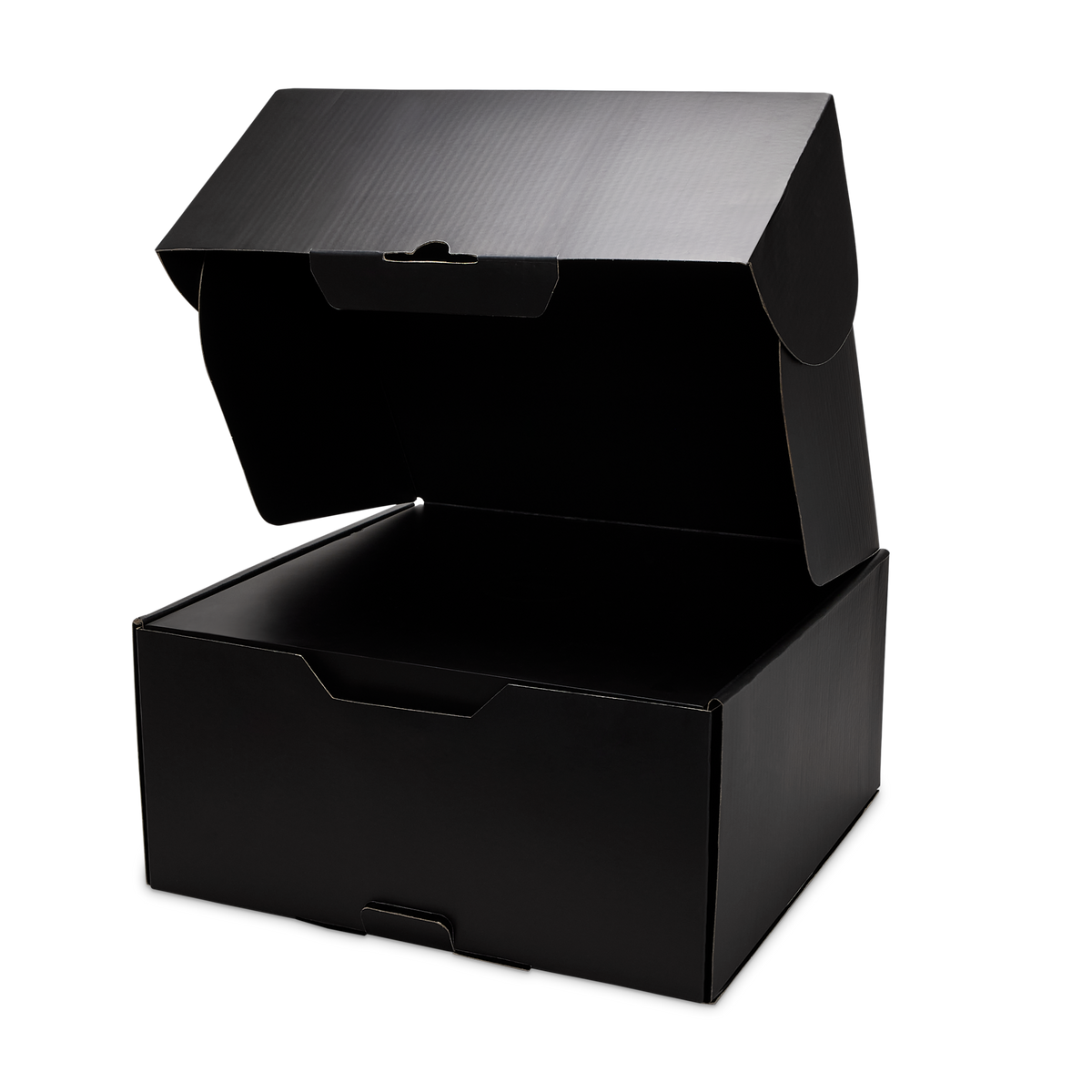 Nike LeBron 23 EP Out for Redemption (Solid Outsole) | IH1514-400