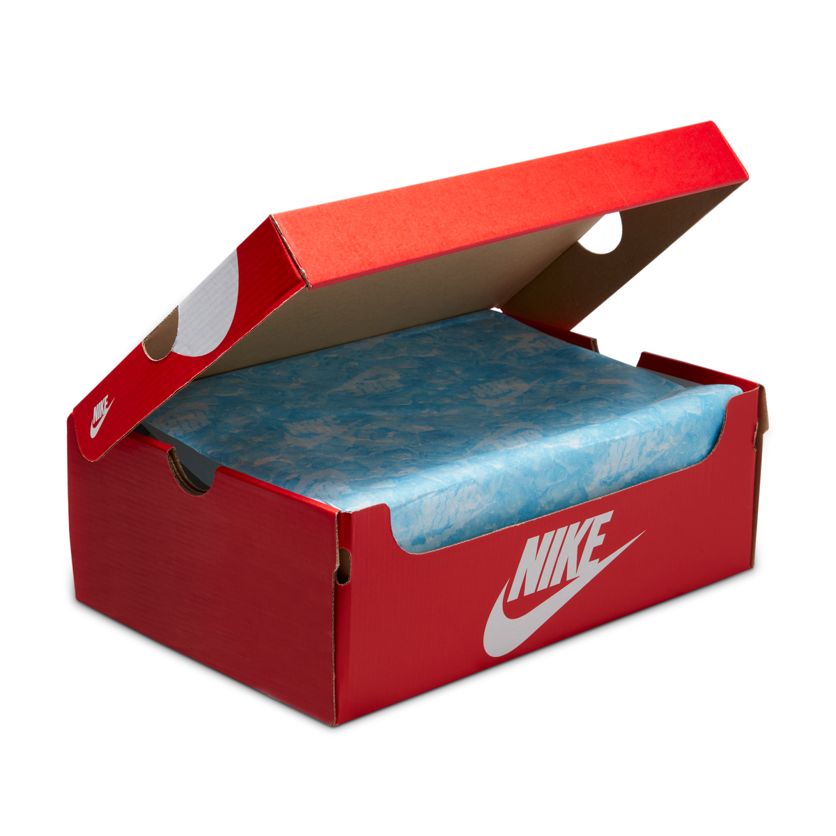 Nike Dunk Low SE Gone Fishing Chinook Salmon | DV7210-001