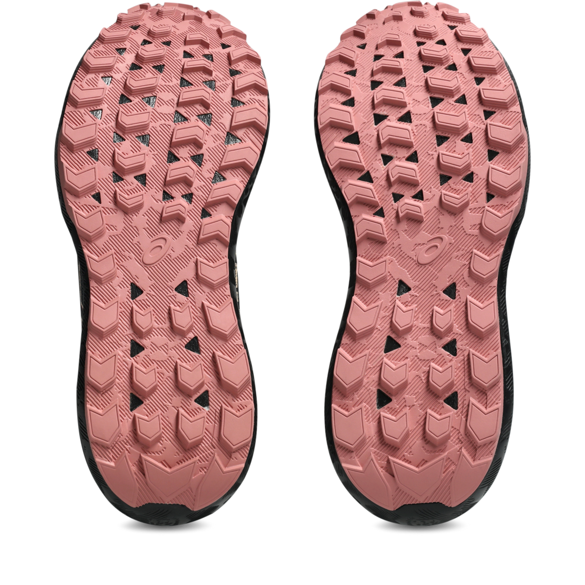 ASICS Gel-Sonoma 8 Gore-Tex Black Apricot Crush (Women's)
